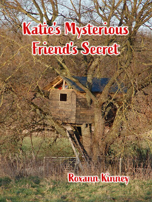 cover image of Katie's Mysterious Friend's Secret